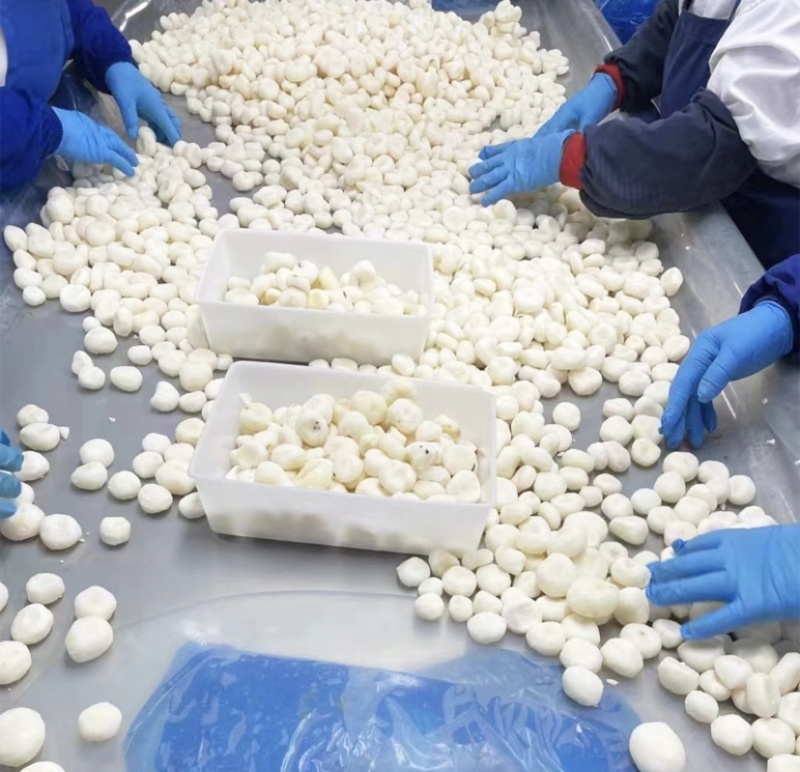 荔浦速冻马蹄粒马蹄丁饺子包子肉馅配料批发0.6统货