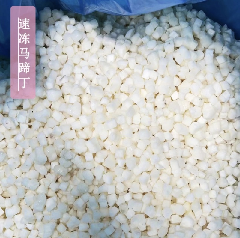 荔浦速冻马蹄粒马蹄丁饺子包子肉馅配料批发0.6统货