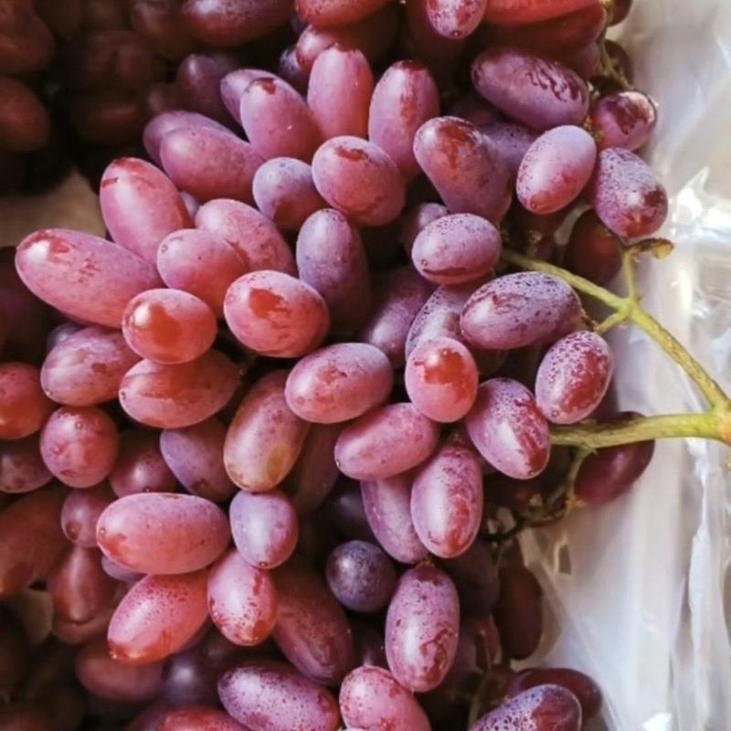 克伦生葡萄，长粒，圆粒都有，糖度，表光很好，量大，质量好