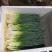 【精品】小葱产地直发一手货源，货源充足，实力代办