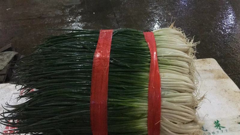 【精品】小葱产地直发一手货源，货源充足，实力代办