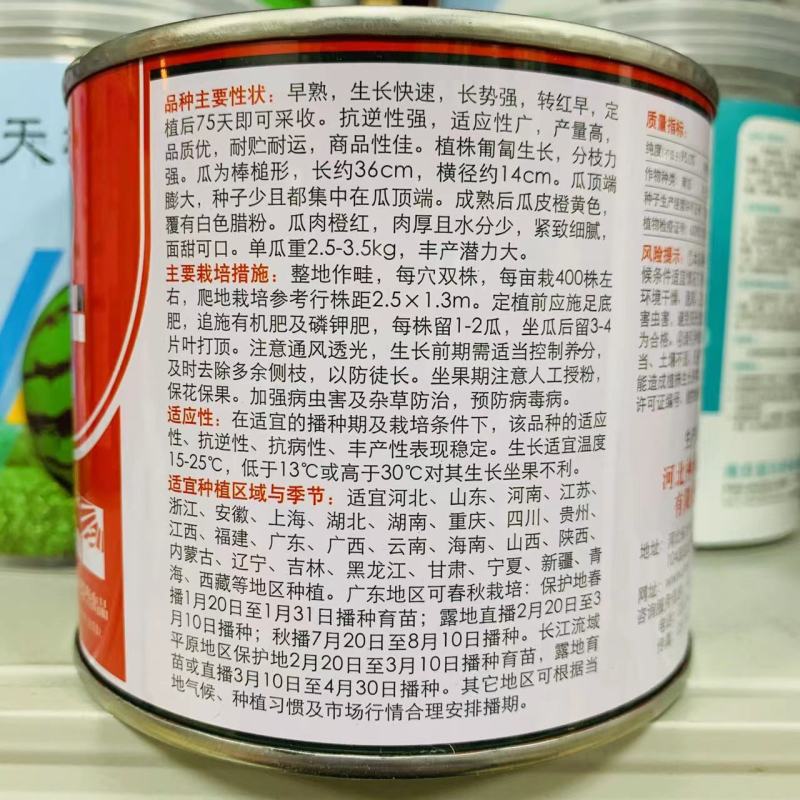 基地专用早甜蜜本南瓜种子产量高面甜可口蜜本南瓜杂交种