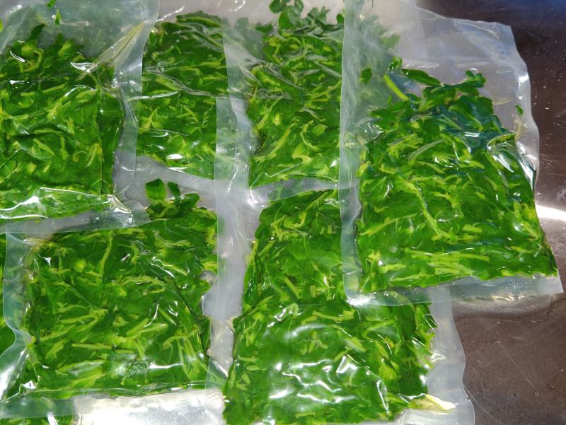 枸杞芽，又名甜菜头，天精菜，菜用枸杞嫩芽。基地种植。