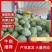 【一件代发】释迦果精品礼盒包邮/电商/商超/水果超市