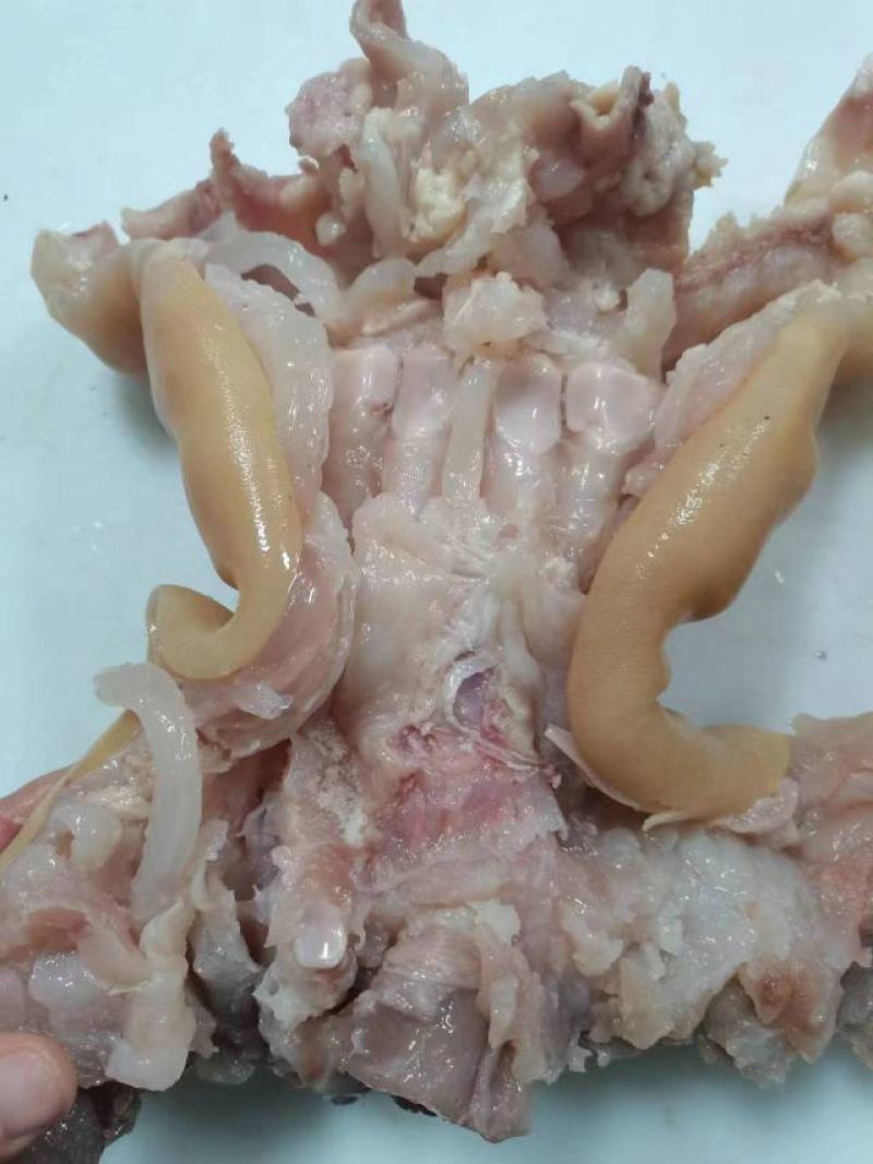 全去骨牛蹄熟牛蹄去骨熟牛蹄厂家发货保质保量