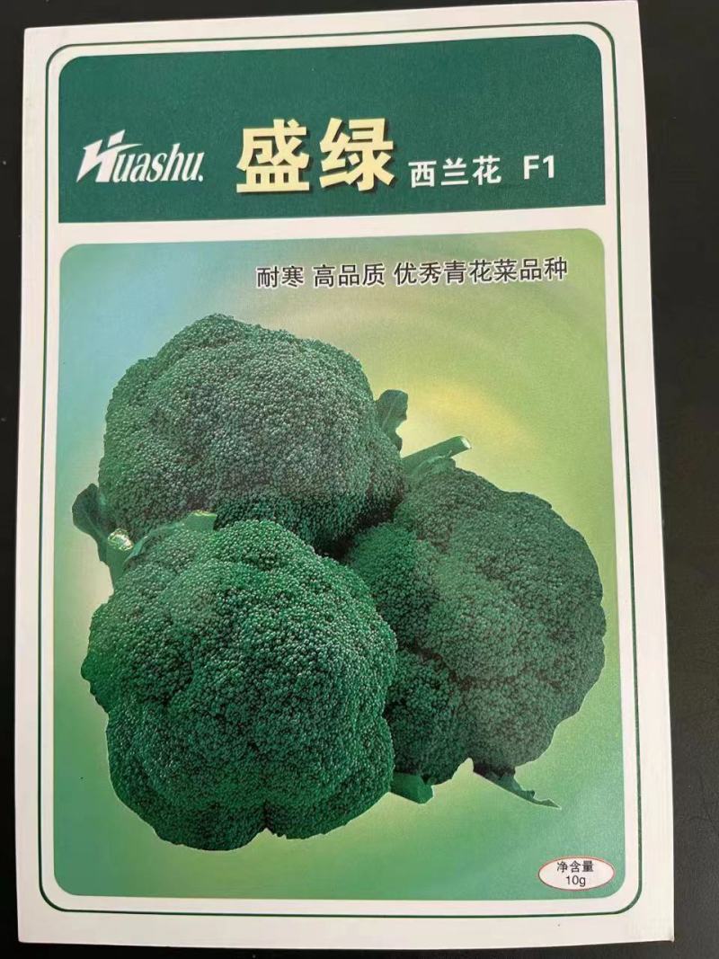 盛绿西兰花种子，早中熟，小米粒，低温不发紫