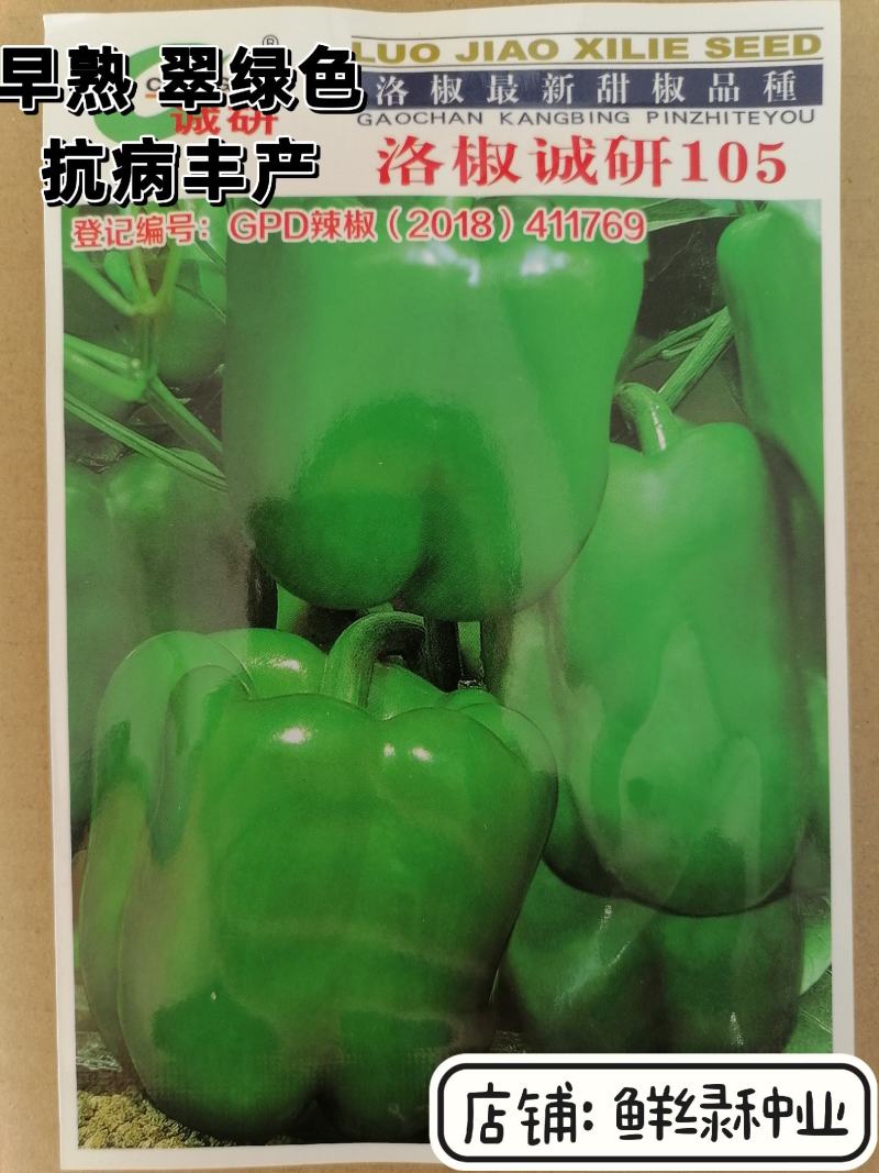 洛椒诚研105早熟翠绿色灯笼型甜椒种子皮薄大果