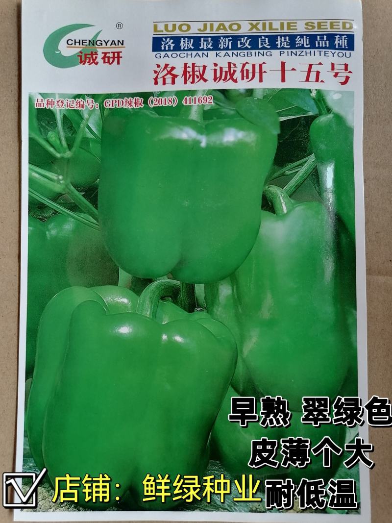 洛椒诚研105早熟翠绿色灯笼型甜椒种子皮薄大果