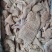 【品质】牛大肠牛小肠圆肠伞袋货源精美品质保障