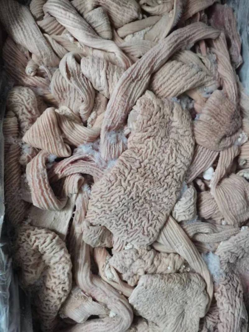 【品质】牛大肠牛小肠圆肠伞袋货源精美品质保障