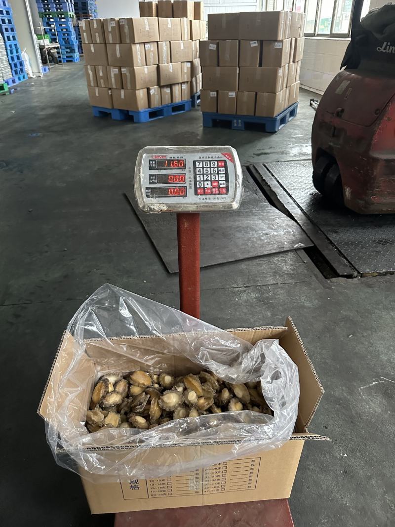 鲍鱼【海头厂家】鲍鱼肉冻鲍鱼鲍鱼净肉海头直发