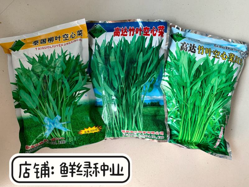 纯进口泰国柳叶空心菜种子质柔嫩纤维少生长快抗逆优
