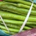 二荆条泡椒大量现货
