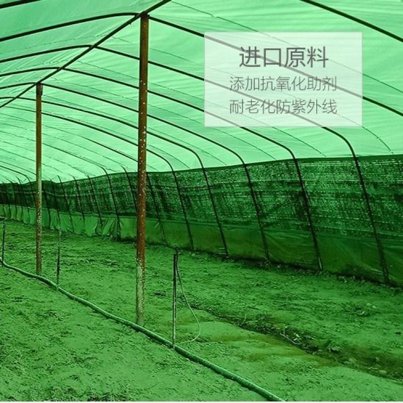 大棚膜黑白膜养殖专用膜食用菌棚膜青储覆盖香菇大棚膜