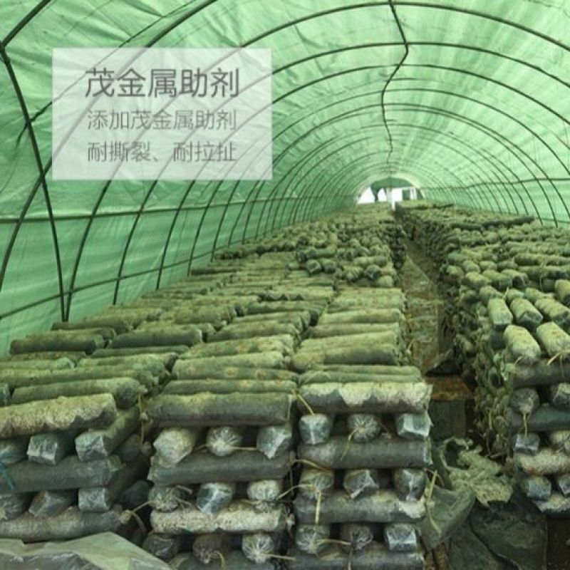 大棚膜黑白膜养殖专用膜食用菌棚膜青储覆盖香菇大棚膜