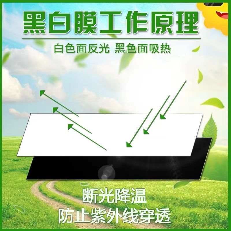 大棚膜黑白膜养殖专用膜食用菌棚膜青储覆盖香菇大棚膜