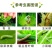 百农思达2.5%高效氯氟氢菊酯功夫500克