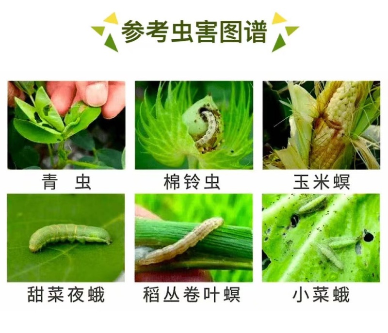 百农思达2.5%高效氯氟氢菊酯功夫500克