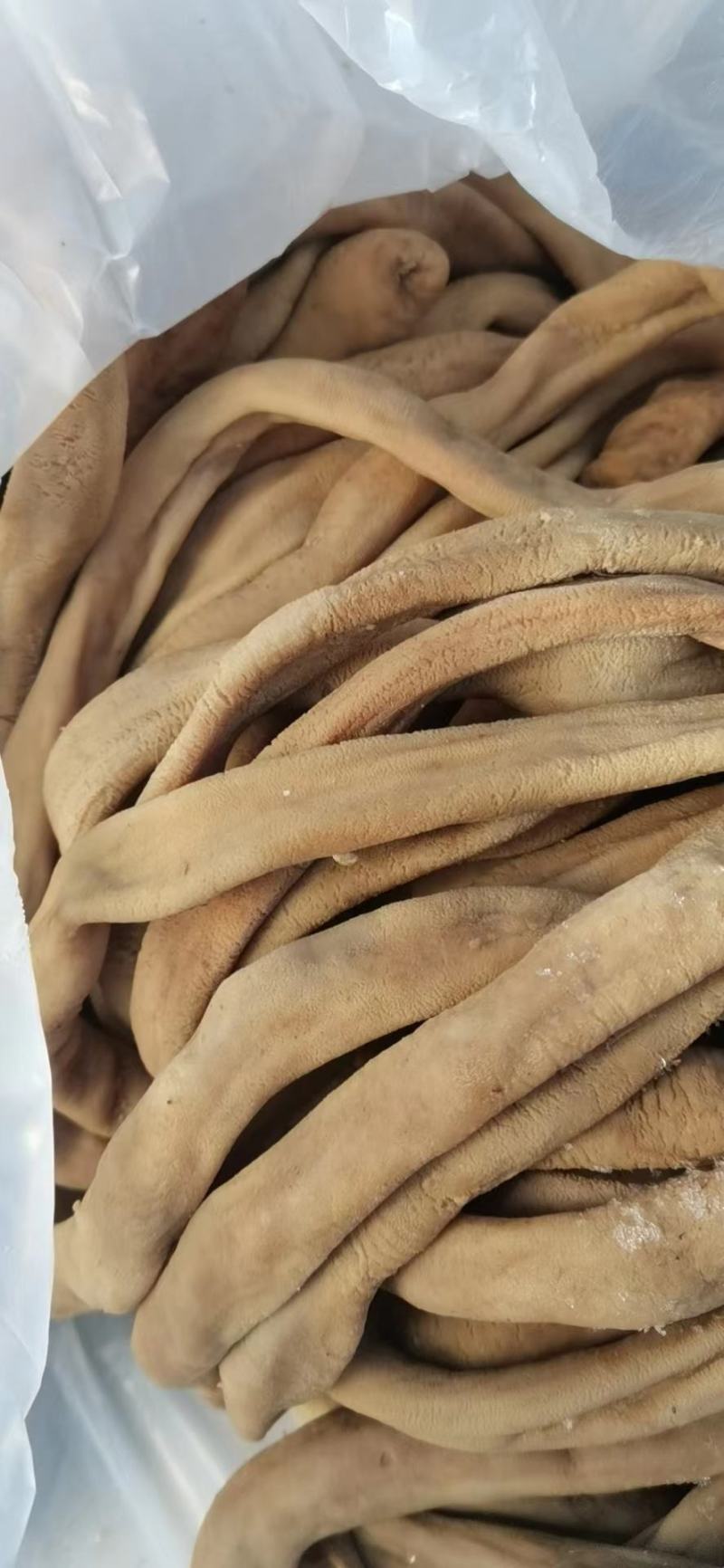 【卤牛肠】国产黄牛熟牛小肠纯干无水熟牛圆肠熟度高电联