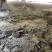纯干鸡粪，供应大棚蔬菜基地果园种植基地，鸡场直供