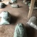 纯干鸡粪，供应大棚蔬菜基地果园种植基地，鸡场直供