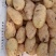 山东精品荷兰十五土豆大量上市品质保证一手货源