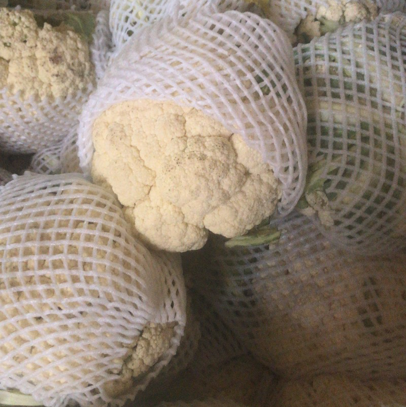 河北唐山乐亭菜花大量现货需要的联系