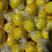 安岳柠檬产地直供品质保障欢迎来电咨询量大优惠