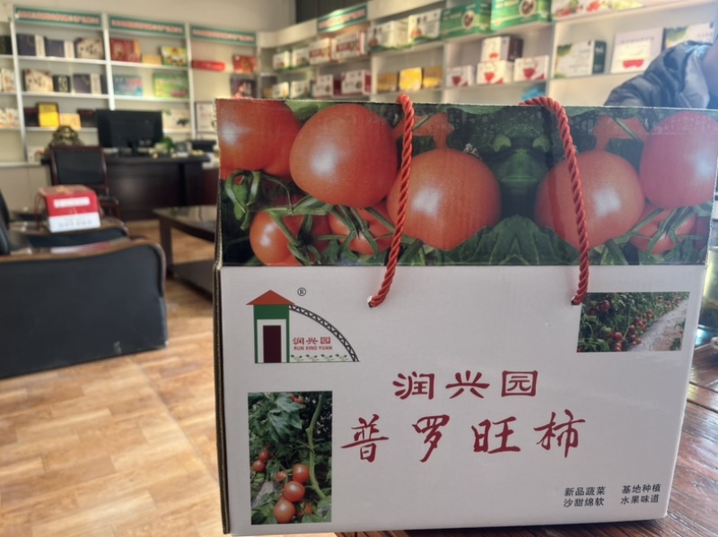【整箱批发】普罗旺斯西红柿对接北上广一线城市客户欢迎咨询