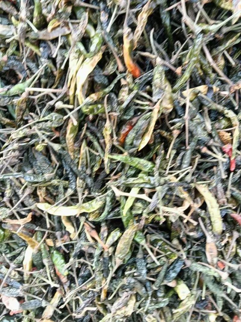 白辣椒青辣椒白辣椒一百斤起包邮物流自提