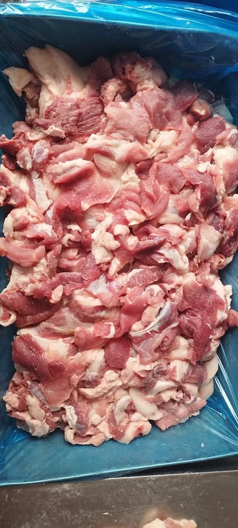 母猪倒四六