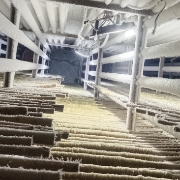 纯红薯粉丝