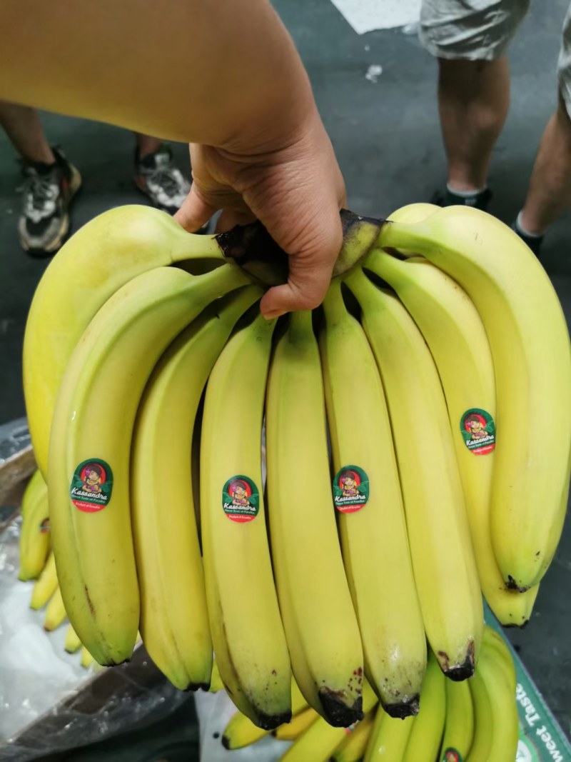 精品特价包无黑心硬