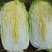 【精品】云南黄心白菜4~5斤保质保量产地直发量大从优