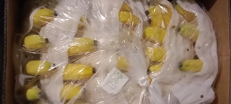精品香蕉无黑心硬