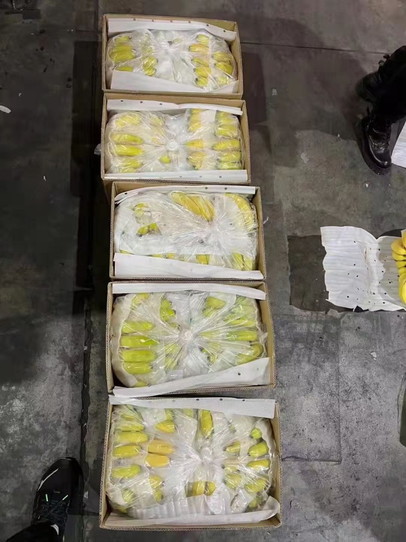 精品香蕉无黑心硬