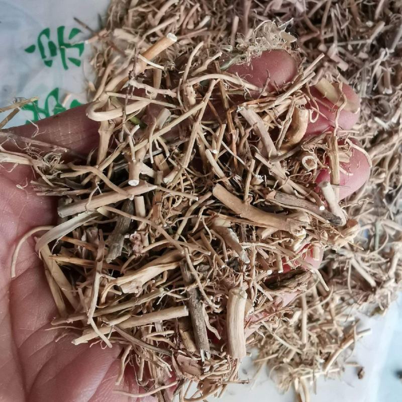 .白前.中药材批发.质量保证规格齐全.