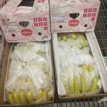 精品香蕉无黑心硬