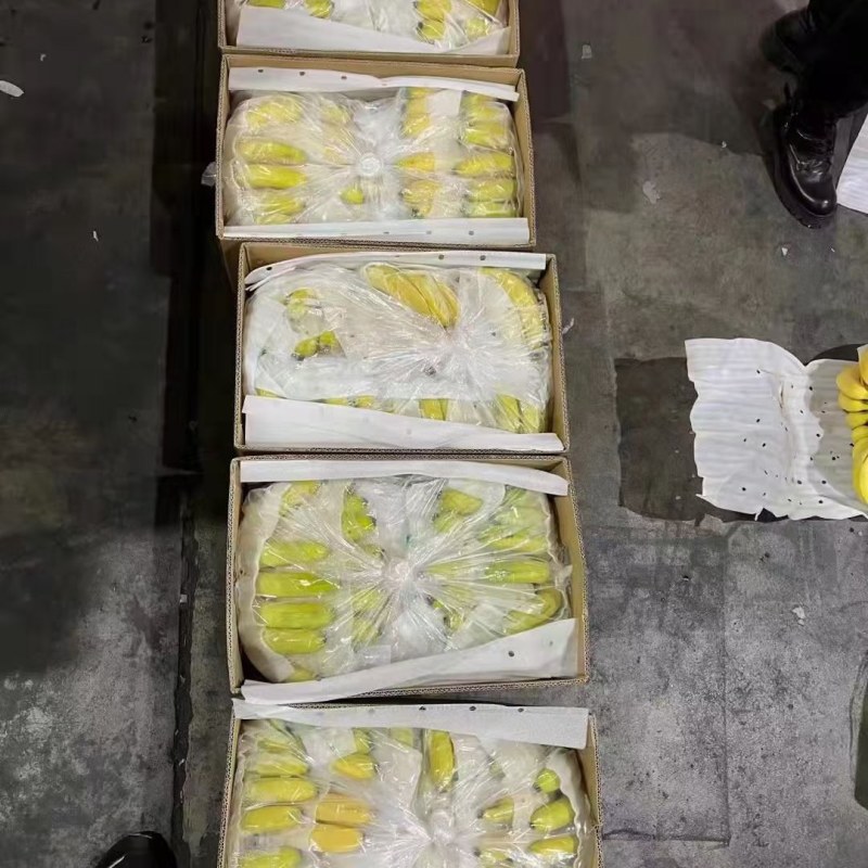 精品香蕉无黑心硬