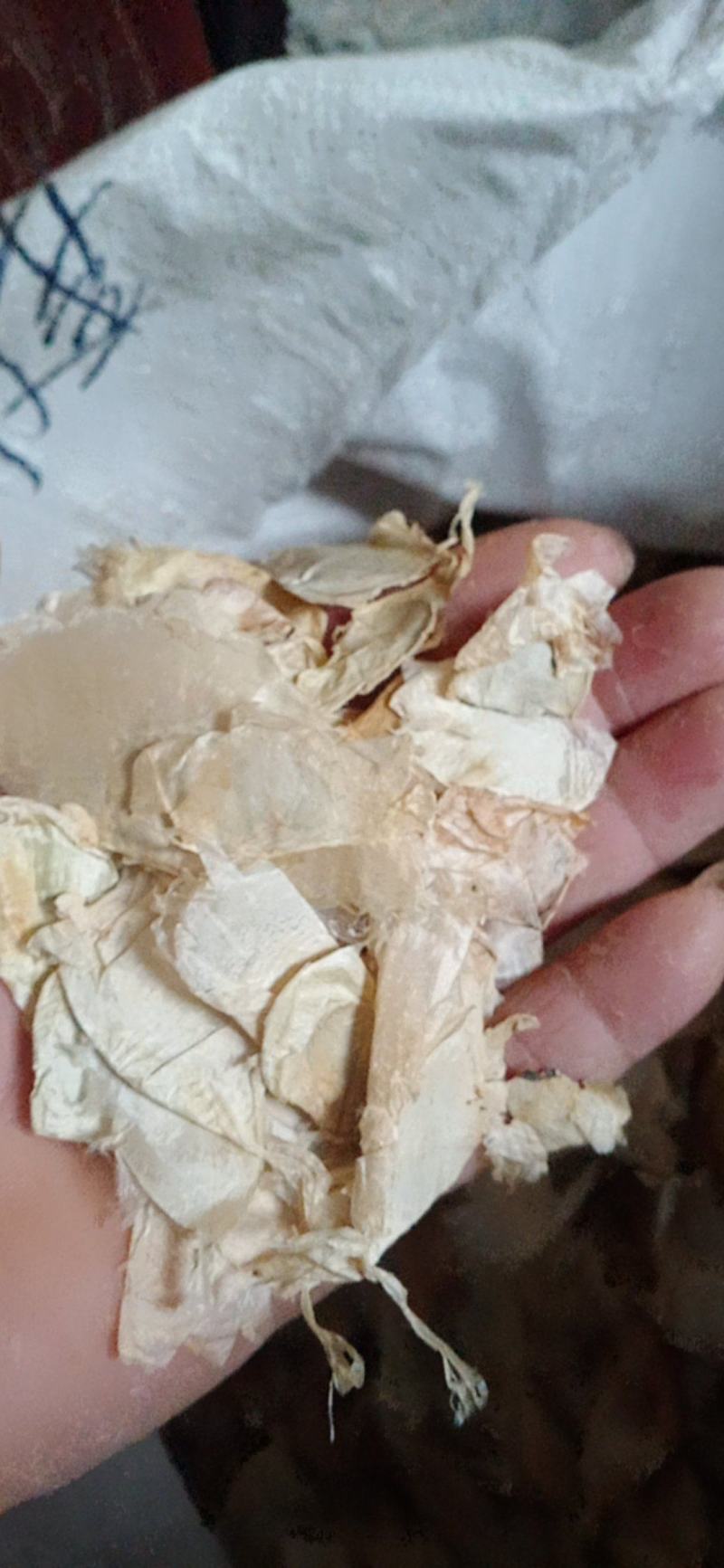 木蝴蝶..中药材批发.质量保证规格齐全.