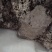 蜂房.马峰窝.中药材批发.质量保证规格齐全.