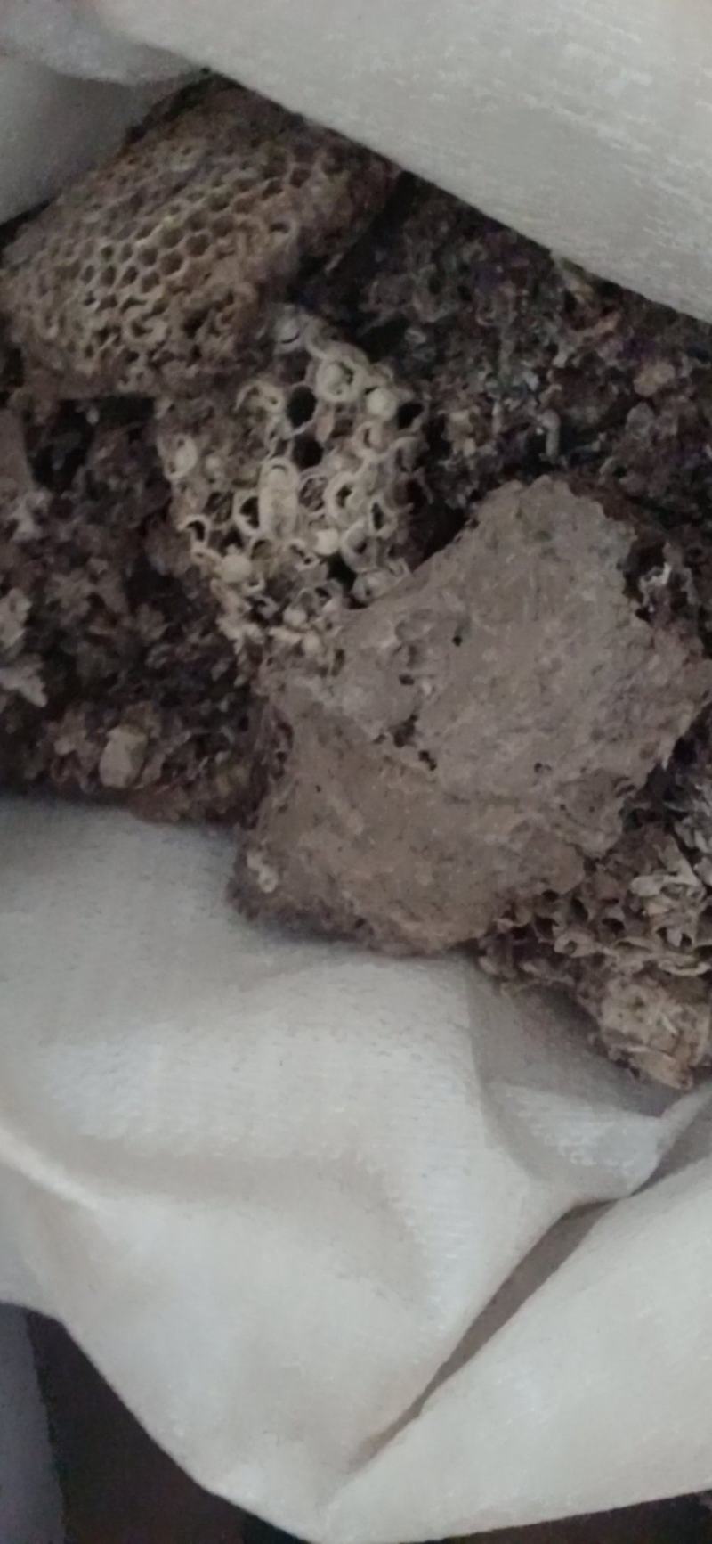 蜂房.马峰窝.中药材批发.质量保证规格齐全.
