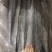 鲅鱼、马鲛鱼，燕尾鲅、大量有货定制包装，
