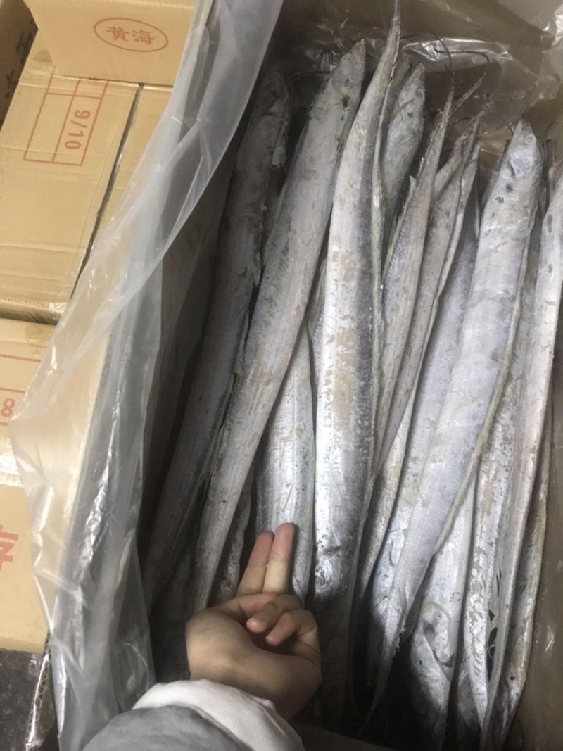 鲅鱼、马鲛鱼，燕尾鲅、大量有货定制包装，