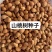 山桃树种子山桃芽一公斤多2000粒