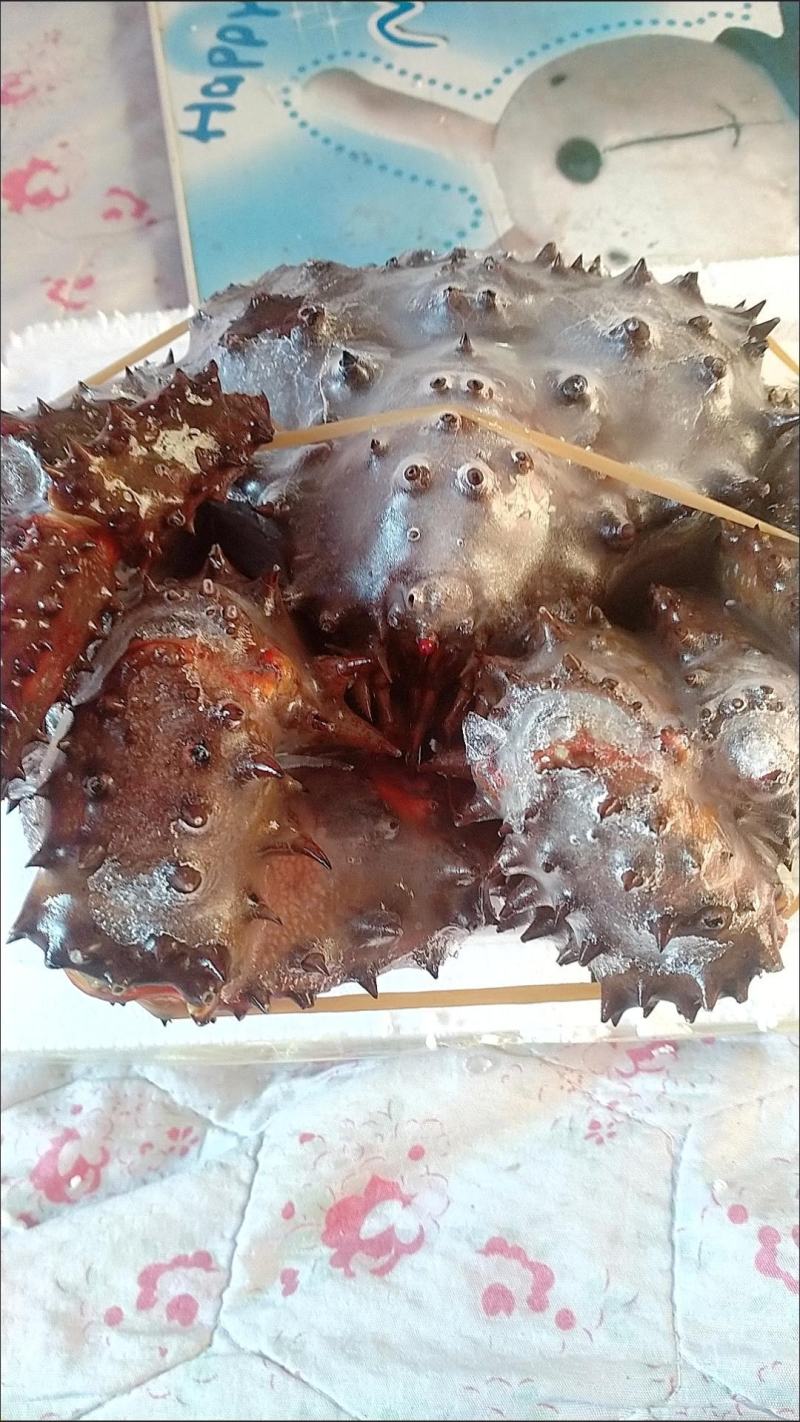 【顺丰包邮】首鲜道智利进口帝王蟹鲜活熟冻海鲜4.0-4.