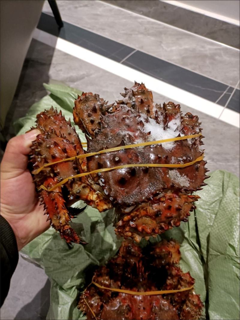 【顺丰包邮】首鲜道智利进口帝王蟹鲜活熟冻海鲜4.0-4.