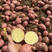 【精品】内蒙红皮土豆大量上市货源充足价格便宜产地直发