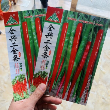全兴二金条辣椒种子早熟高产线椒种子四季播阳台盆栽大田种子
