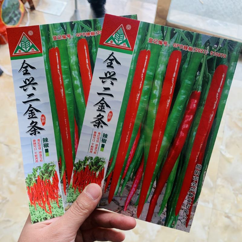 全兴二金条辣椒种子早熟高产线椒种子四季播阳台盆栽大田种子